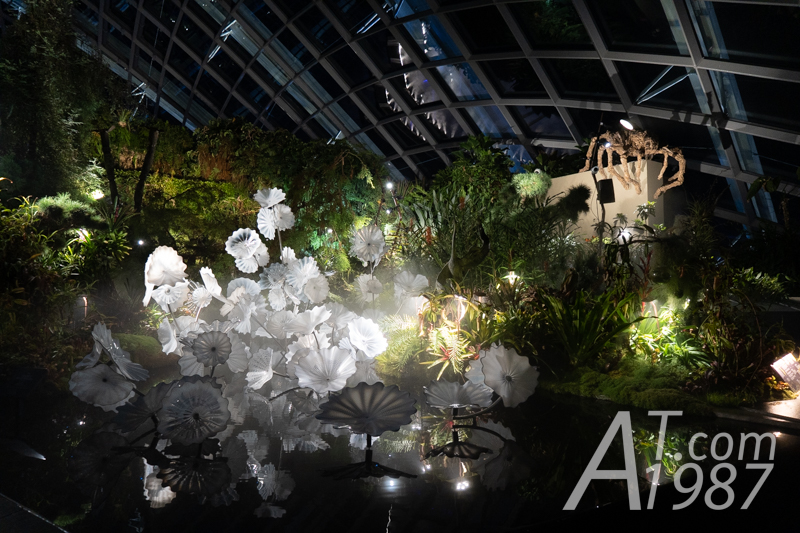 Gardens by the Bay – Lost World